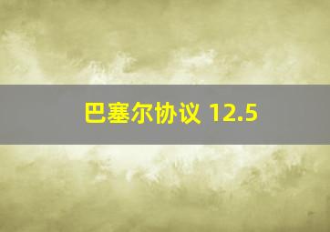 巴塞尔协议 12.5